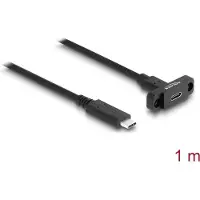DeLOCK – SuperSpeed USB 10Gbps (USB 3.2 Gen 2) Cable USB Type-C male to female 1 m panel-mount blk (87824)