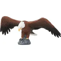 Small Foot Wildlife Bald Eagle