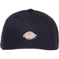 Dickies Hardwick Two Tone Lippis