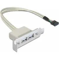 DeLOCK – Slot bracket USB 2.0 low profile 2 port (83119)
