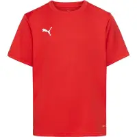 Puma Toiminnallinen paita 'TeamGoal' punainen / valkoinen