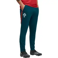 Puma Portugali Treenihousut World Cup 2026 - Valtameren Trooppi/silver Mist - , koko Small