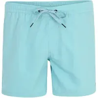 Quiksilver Everyday Solid Volley 15 Surffishortsit sininen, XL