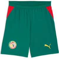 Puma Senegal 2026 Shorts Men, koko Large