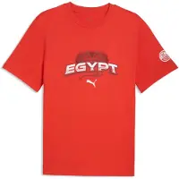 Puma Egypt Ftblculture Tee Men, koko Medium