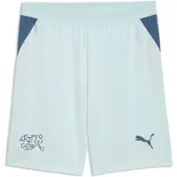 Puma Switzerland 2026 Shorts Men, koko X-Large
