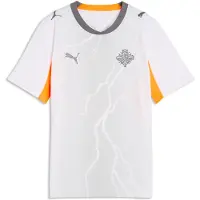 Puma Ksi Away Jersey Replica Jr - Grey - 176