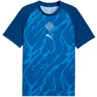Puma Iceland Warmup Jersey Men, koko Medium