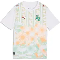 Puma Côte d'Ivoire 2026 Away Jersey Youth, koko 164 cm