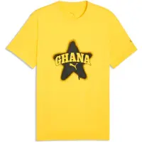 Puma Ghana Ftblculture Tee Men, koko Small