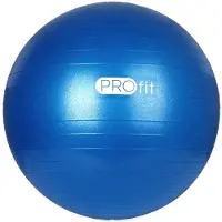 Pro-Fit Voimistelupallo 55 cm pumpulla DK 2102