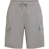 O'Neill Essentials Ripstop Cargo Shortsit brushed aluminium Koko 31