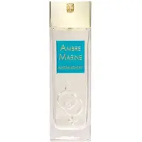Alyssa Ashley Ambre 100ml Eau De Parfum