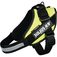 JULIUS K-9 Idc Koiran Valjaat