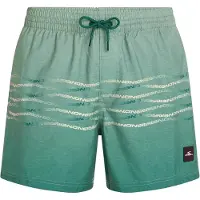 O'Neill First 15'' Surffishortsit vihreä, L