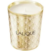 Lalique Noir Premier - Plume Blanche 1901 Candela profumata floreale, legnosa e muschiata 190 g