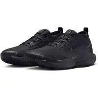 Nike Juoksukengät Pegasus Trail 5 Gore-Tex - Musta/Harmaa, koko 41