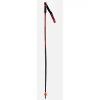 Rossignol Hero Gs-sg Kävelysauvat
