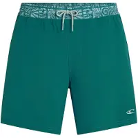 O'Neill Pocket Print 16" Surffishortsit botanical heat Koko M