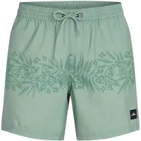 O'Neill Uni Flower 16" Surffishortsit green tropical stripe Koko XXL