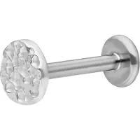 Wildcat Big Circle Hammered Labret<!--63d6050c26267--> - Hopeinen metalli