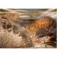 Kärkkäinen Artgeist Dandelions' World (Gold) itseliimautuva fototapetti