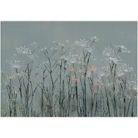 Kärkkäinen Artgeist Garlic Flowers itseliimautuva fototapetti