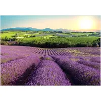 Kärkkäinen Artgeist Lavender Field itseliimautuva fototapetti