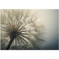 Kärkkäinen Artgeist Ephemerality itseliimautuva fototapetti