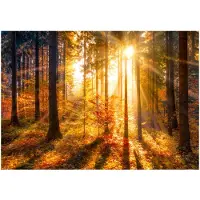 Kärkkäinen Artgeist Autumn Awakening itseliimautuva fototapetti