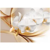 Kärkkäinen Artgeist Orchid Blossom fototapetti