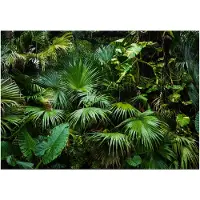 Kärkkäinen Artgeist Sunny Jungle itseliimautuva fototapetti
