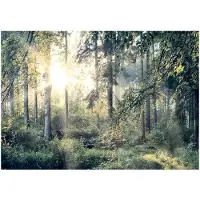 Kärkkäinen Artgeist Tales of a Forest itseliimautuva fototapetti