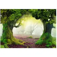 Kärkkäinen Artgeist Enchanted Forest fototapetti