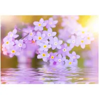 Kärkkäinen Artgeist Violet Petals In Bloom fototapetti