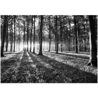 Kärkkäinen Artgeist Grey Wilderness itseliimautuva fototapetti