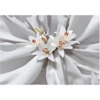 Kärkkäinen Artgeist Sensual Lilies itseliimautuva fototapetti