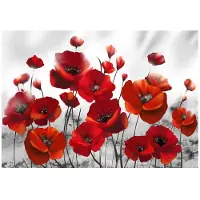 Kärkkäinen Artgeist Poppies in the Moonlight itseliimautuva fototapetti
