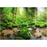 Kärkkäinen Artgeist Humid Forest fototapetti