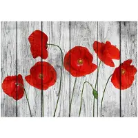 Kärkkäinen Artgeist Tale Of Red Poppies fototapetti