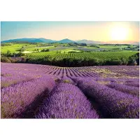 Kärkkäinen Artgeist Lavender Field itseliimautuva fototapetti