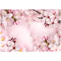 Kärkkäinen Artgeist Spring Cherry Blossom fototapetti