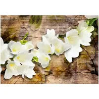 Kärkkäinen Artgeist Freesia On Wood fototapetti
