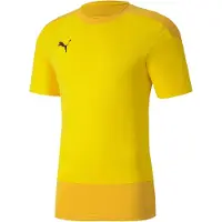 Puma Treenipaita Teamgoal 23 - Valkoinen/harmaa, koko Large