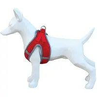 Freedog Soft Koiran Valjaat