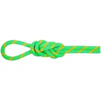 Mammut 8.0 Mm Alpine Dry 60 M Köysi