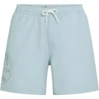 O'Neill O'Riginals Cali Ocean 16'' Surffishortsit light blue o / riginals a w Koko XS