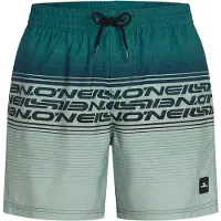 O'Neill Logo Stripe 16'' Surffishortsit green heritage stripe Koko XS