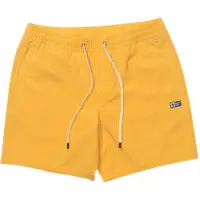Salty Crew Seadog Volley Uimashortsit