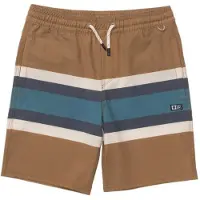 Salty Crew Crew Stripe Volley Uimashortsit